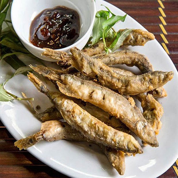 CÁ TRỨNG