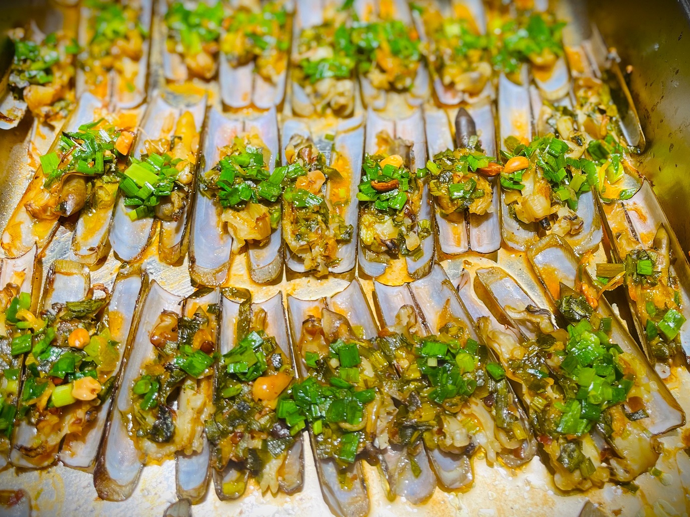 ỐC MÓNG TAY - SÒ ĐIỆP