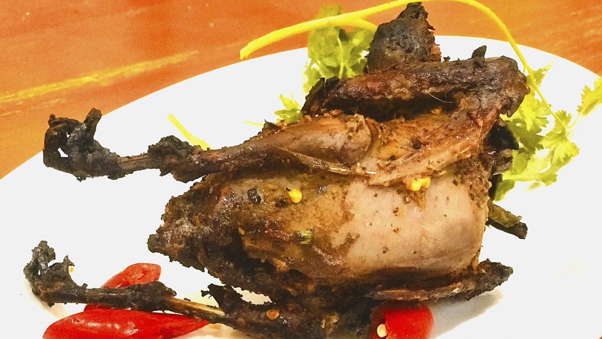 BỒ CÂU