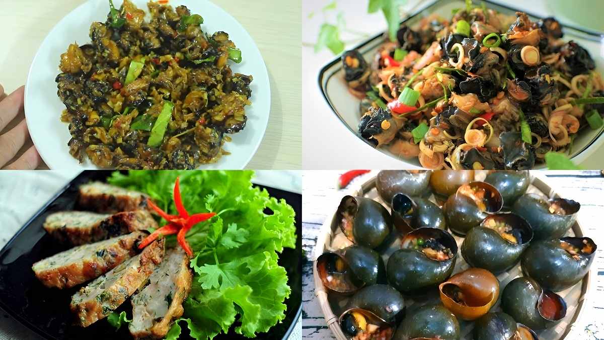 LỤA - ỐC