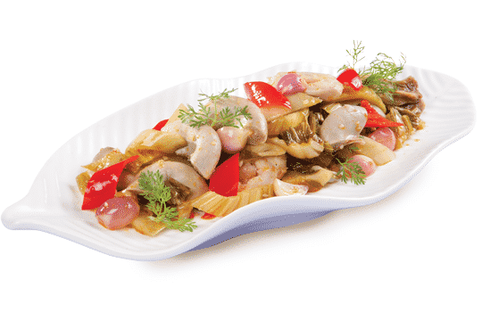 BAO TỬ - PHÈO NON - DỒI TRƯỜNG - SƯỜN NON