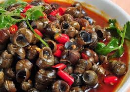 MÓN ỐC