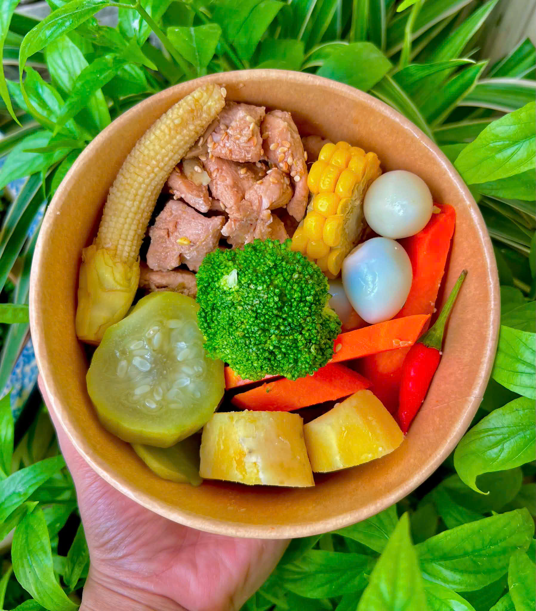 Set gà trứng rau củ