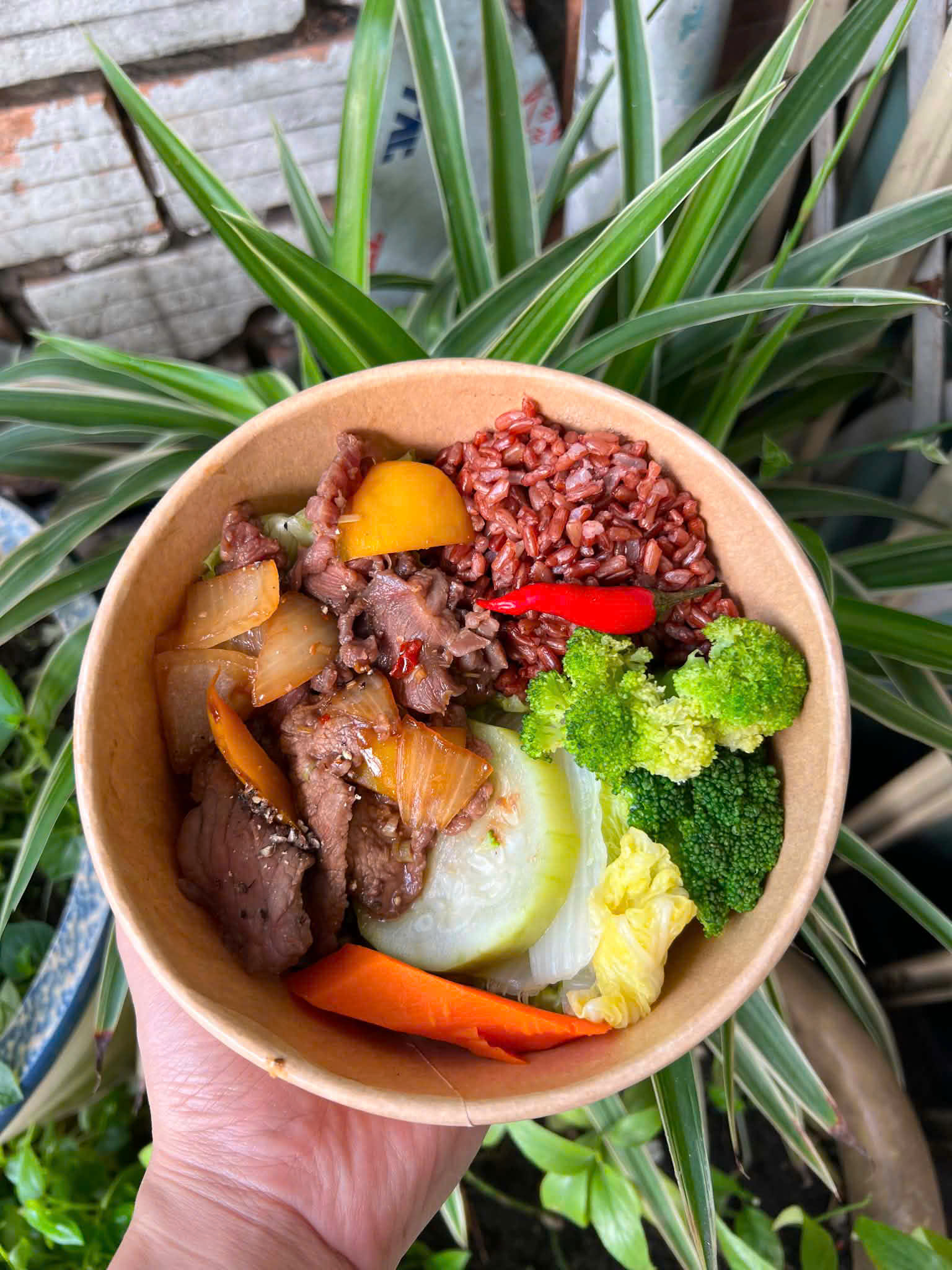 Cơm lứt bò lắk