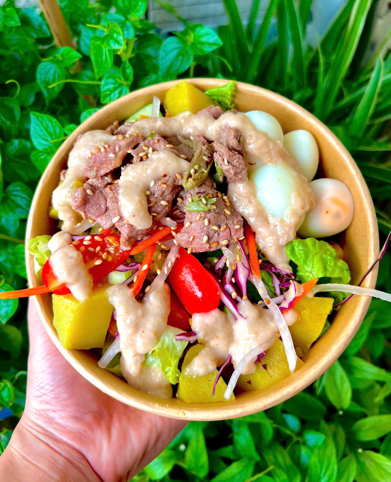 Salad trứng bò/gà