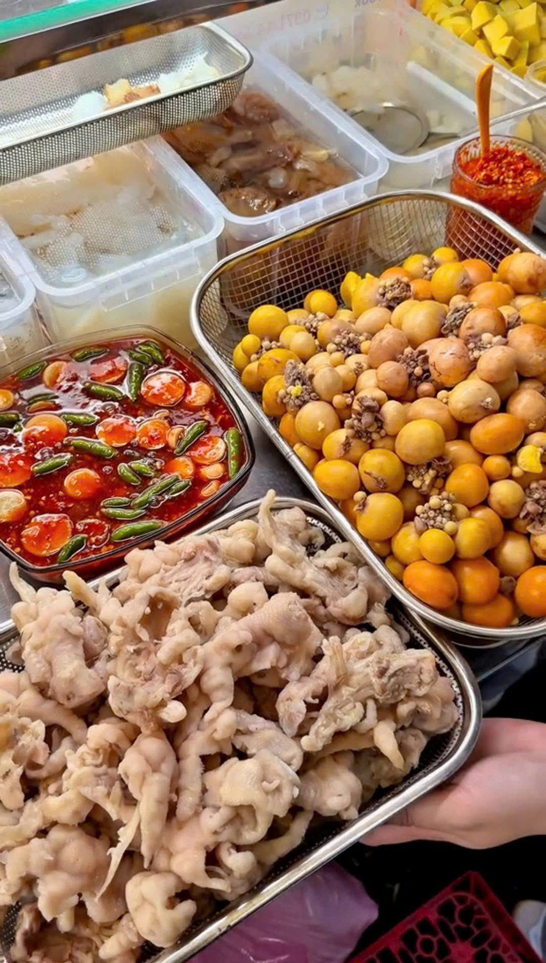 CHÂN GÀ SẢ TẮC