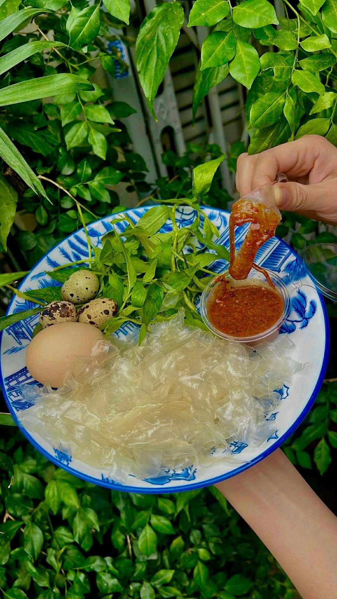 Bánh tráng Chấm Muối Gánh