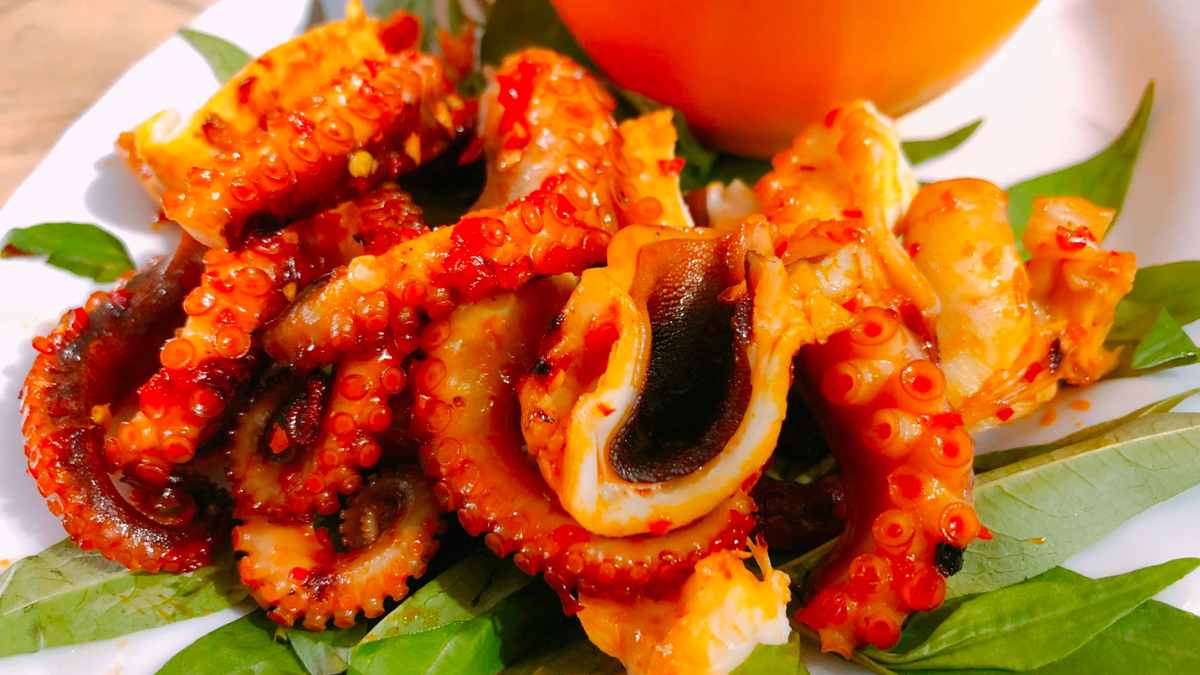 BẠCH TUỘC - MỰC ỐNG