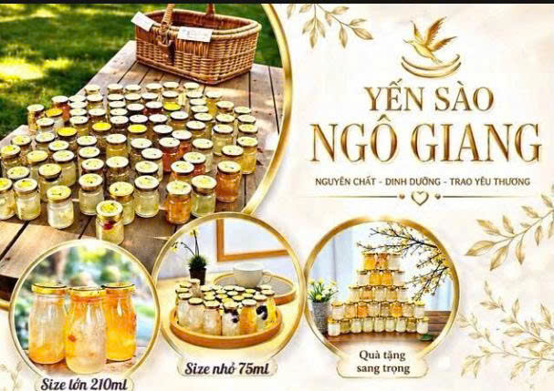 YẾN SÀO NGÔ GIANG