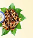 CÀNG CUA/CÀNG GHẸ