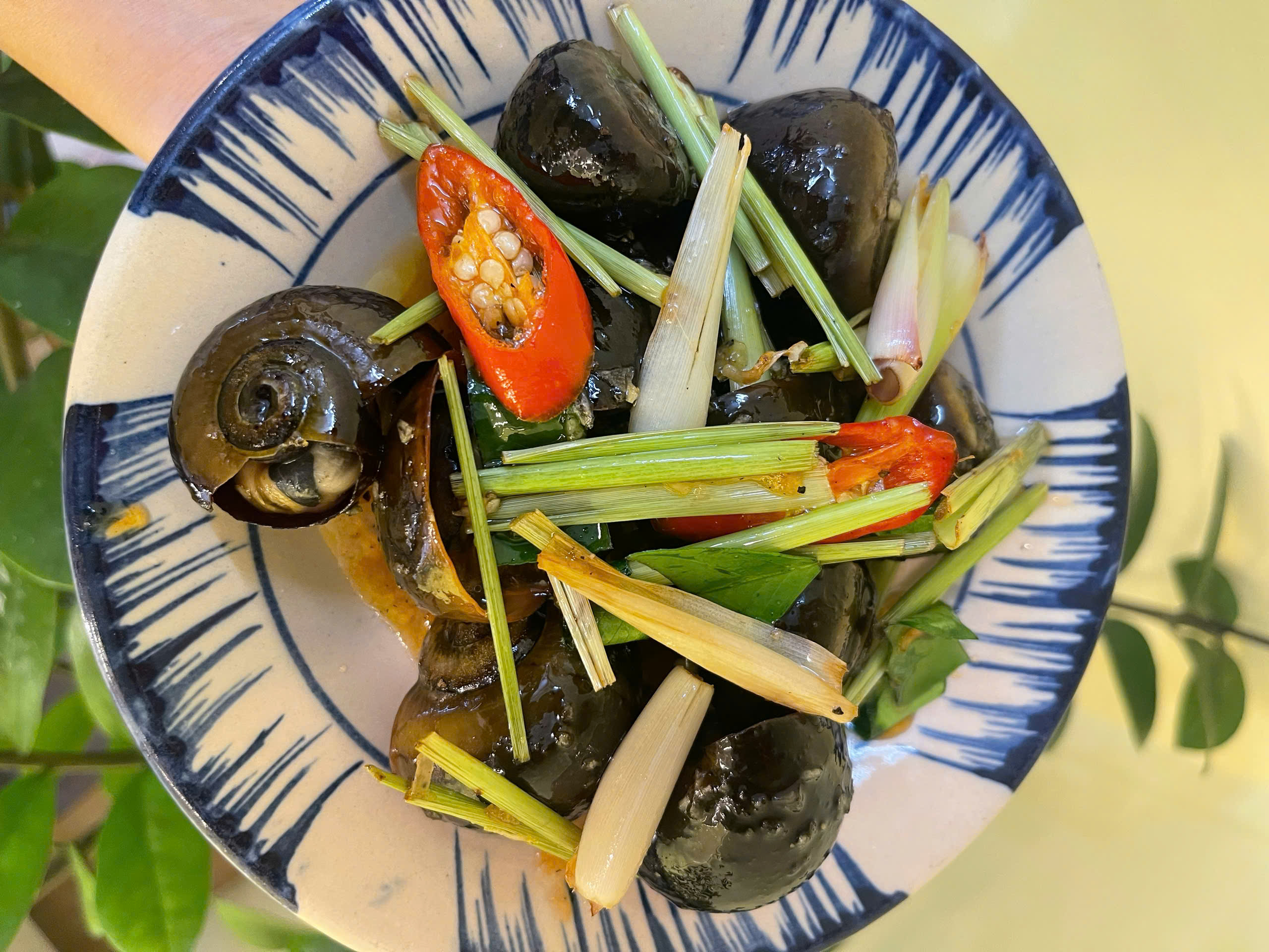 Ốc Luộc KHANG