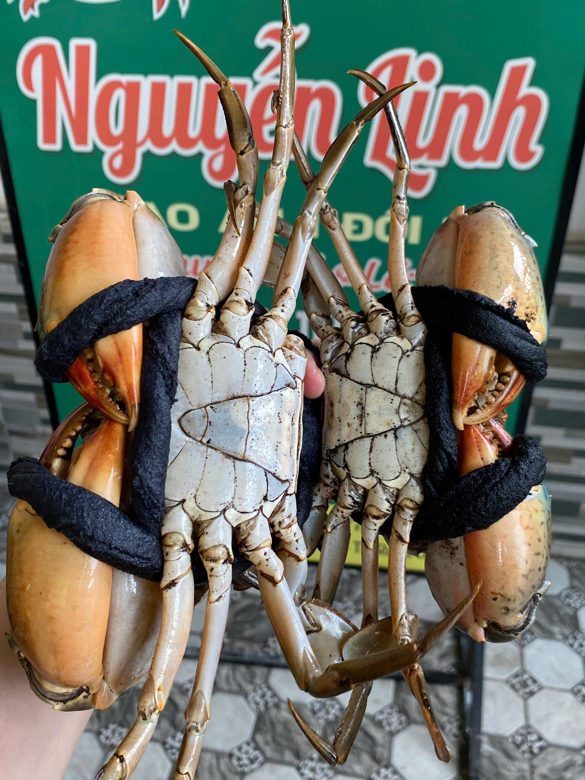 CUA BIỂN NGUYỄN LINH