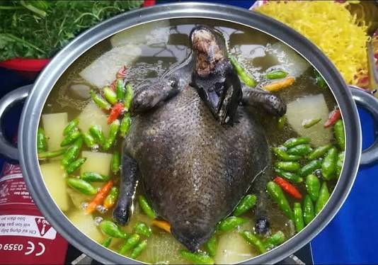 GÀ ÁC CỒ