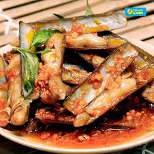 ỐC MÓNG TAY - PHÈO NON - BAO TỬ HEO